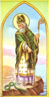 Did St. Patrick Cast Out All The Snakes In Ireland?