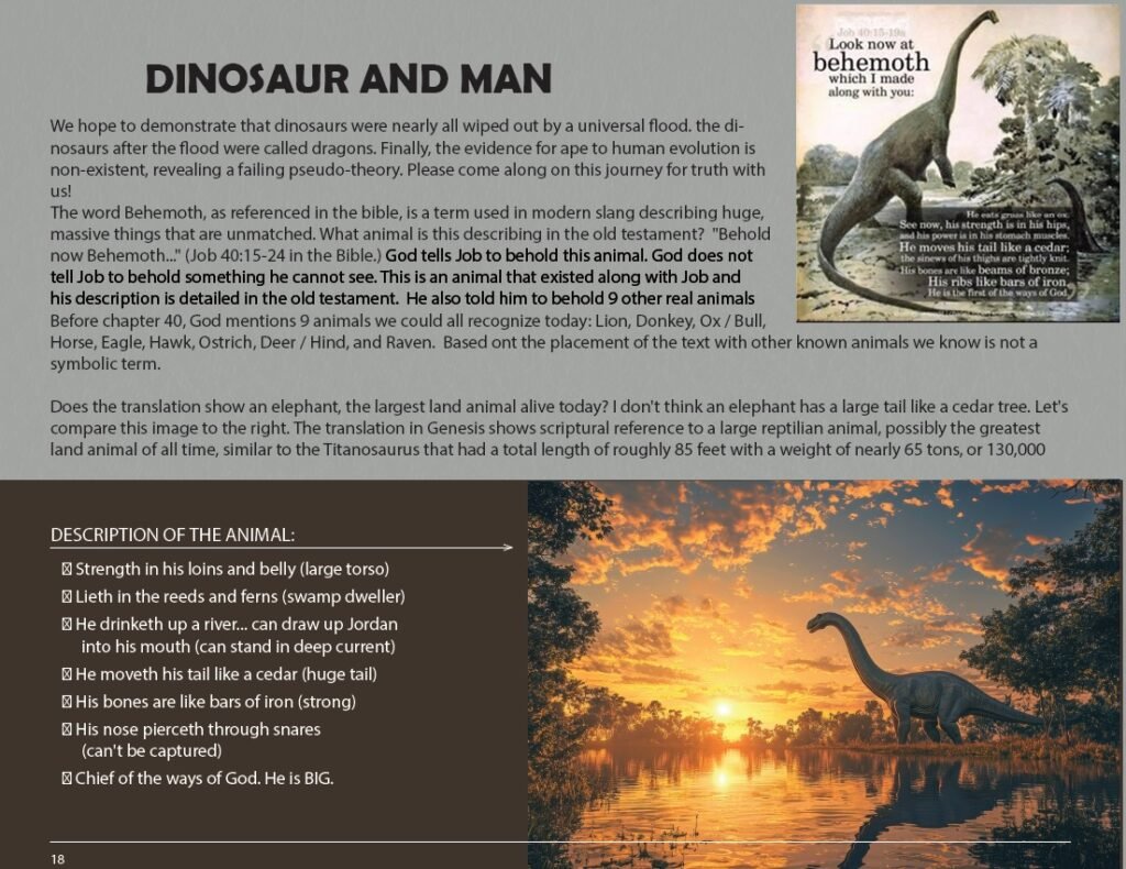 Book Sample Pages : Full Book Book Sample Pages : Full Book