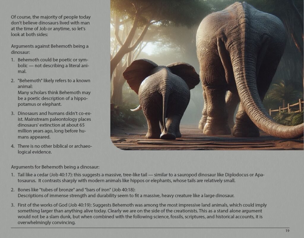 Book Sample Pages : Full Book Book Sample Pages : Full Book