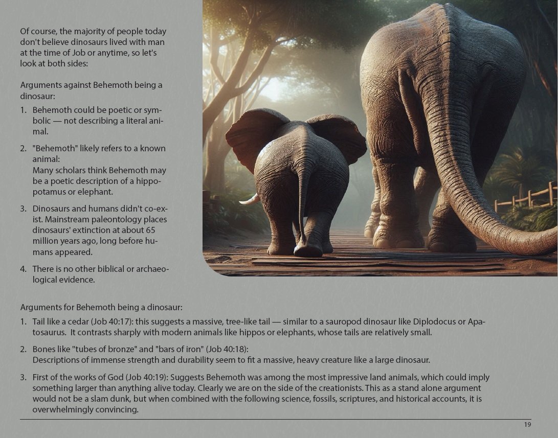 page-19-behemoth-sample-page